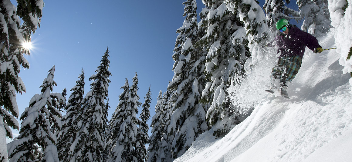 The Mt. Hood Fusion Pass Timberline Lodge + Mt. Hood SkibowlMt. Hood